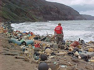 Archivo:Marine debris on Hawaiian coast