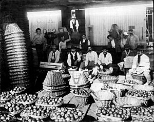 Archivo:Mercado frutos tigre 1902