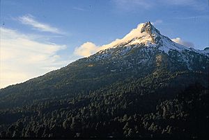 Archivo:Monte Nevado, Colima (11932471645)