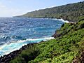 North East Point (25366256611)