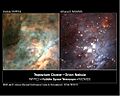 Orion.Nebula.M42.Trapezium.Cluster.VIS-IR.HST