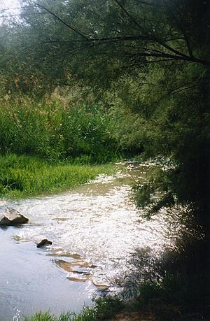 Archivo:Paso natural por el Jalón