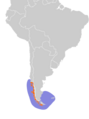 Pelecanoides magellani map