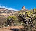 Pico-de-Bernalejo,-el-Gran-Tunal-paisaje