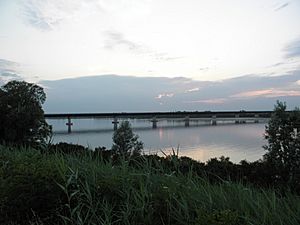 Archivo:Ponte sul fiume Po, provinciale 495 (Corbola)