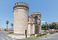 Puerta de Palmas, Badajoz, España, 2020-07-22, DD 85