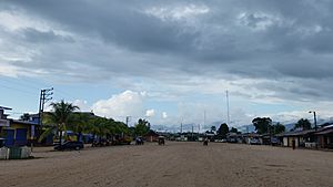 Puerto Bermudez, Peru - panoramio (1).jpg