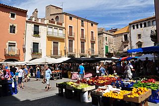 Spain, Catalonia, Torroella de Montgrí (1), Plaça de la Vila.jpg