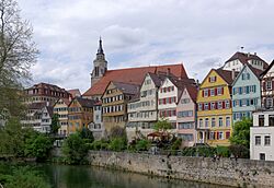 Tübingen Neckarfront BW 2015-04-27 15-31-07.jpg