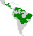Thamnophilus doliatus map