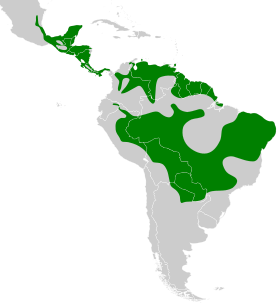Distribución geográfica del batará barrado.