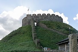 Totnes Castle 20181026-02.jpg