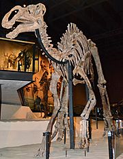 Archivo:Utah Gryposaurus