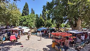 Archivo:Villa de Las Rosas, Feria Regional de Gastronomía y Artesanías, Córdoba 03