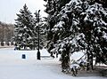 Winter morning in the park 2 (6904003373)