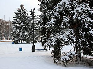Archivo:Winter morning in the park 2 (6904003373)