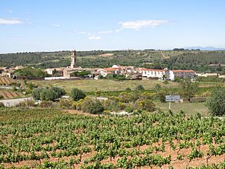 001 Montferri des del santuari de la Mare de Déu de Montserrat.jpg