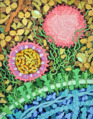 197-Zika Virus-ZikaVirus