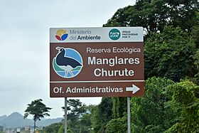 2022-05-16 Manglares Churute 0504.JPG