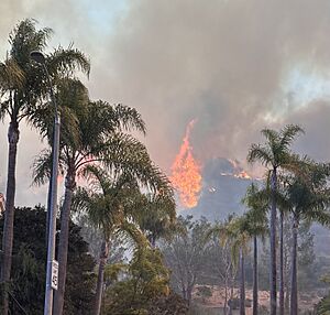 Archivo:2025 Palisades Fire Seen From Palisades Drive (cropped)