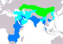 Distribución de Aquila nipalensis