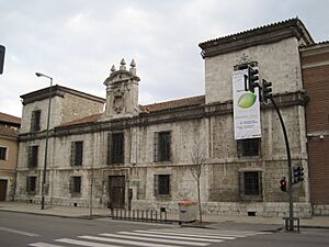 Archivo:Biblio Reina Sofia