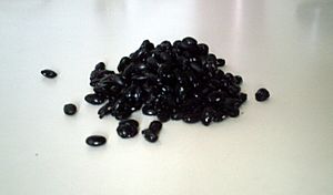 Archivo:Black Beans 2