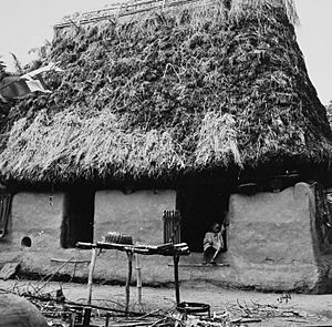 Archivo:COLLECTIE TROPENMUSEUM Een traditioneel Igbo huis in de provincie Anambra TMnr 20016872