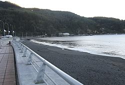 Caleta lenga.jpg