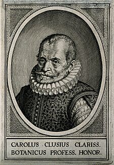 Charles de l'Écluse or Carolus Clusius (1526 – 1609) Wellcome V0003457.jpg