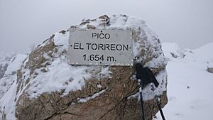 Archivo:Cima pico Torreón nevado