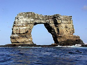 Archivo:Darwinarch