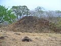 Guachimontones2