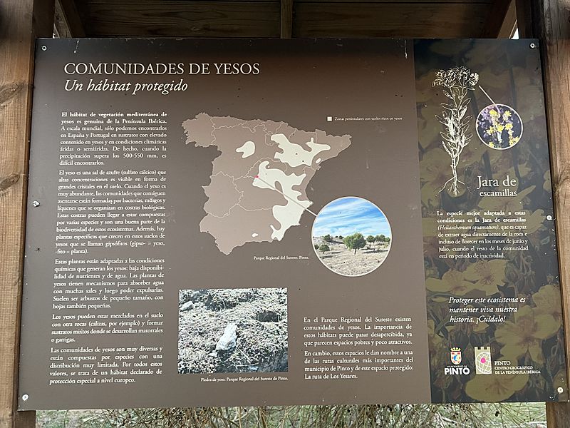 Infografía Los Yesares
