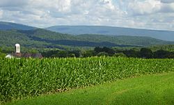 Jacks Mountain as viewed from Shirleysburg, Pennsylvania.jpg