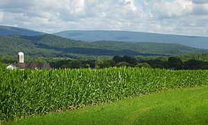 Archivo:Jacks Mountain as viewed from Shirleysburg, Pennsylvania