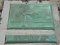 Joshua Tree Tafel