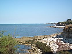 La côte à St Denis d'Oléron.JPG