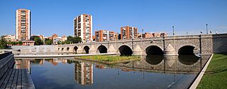 Madrid - Segovia Bridge.jpg