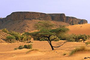 Archivo:Mauritanie - Adrar2