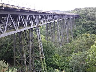 Meldon Viaduct - geograph.org.uk - 2003013.jpg
