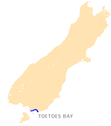 Archivo:NZ-Toetoes B