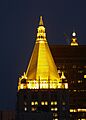 New York Life Gold Top