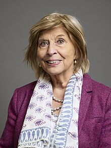 Official portrait of Baroness D'Souza crop 2, 2024.jpg
