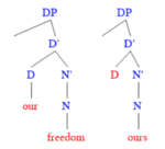 Archivo:Our as a pronoun or determiner