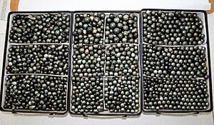 Archivo:Perles de Tahiti (3)