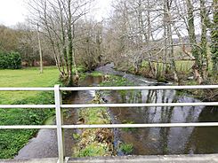 Río Anllo ao seu paso por Fanoi, Abadín.jpg