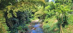 Río de Bayamón, Aguas Buenas, Puerto Rico.jpg