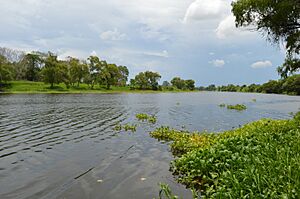 Archivo:Rio Cazones (Cazones)