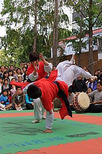 Taekkyeon-nalchigi.JPG